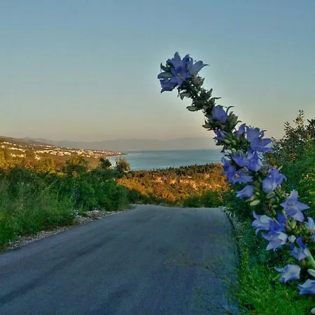 Апартаменты Marina Ядраново